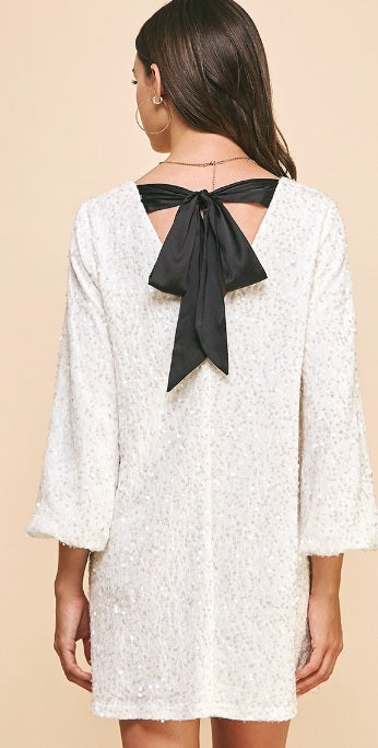 Velvet Sequins Mini Dress