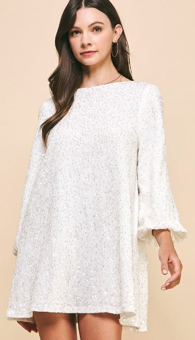 Velvet Sequins Mini Dress